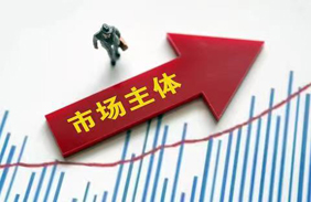 市場(chǎng)主體信息